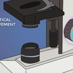 Amoeba sisters lab safety worksheet