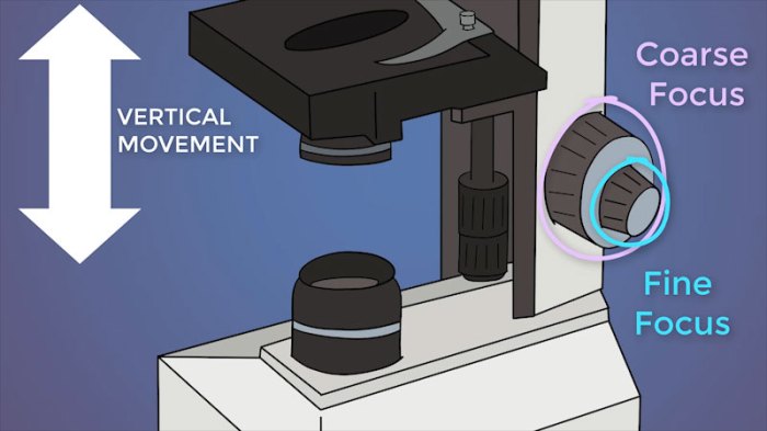 Amoeba sisters lab safety worksheet