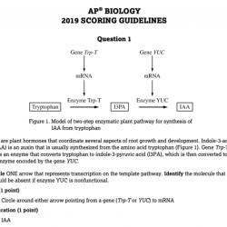 Unit 5 progress check frq ap bio