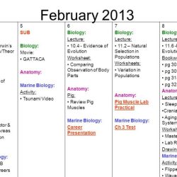 Fun with fictitious animals answer key