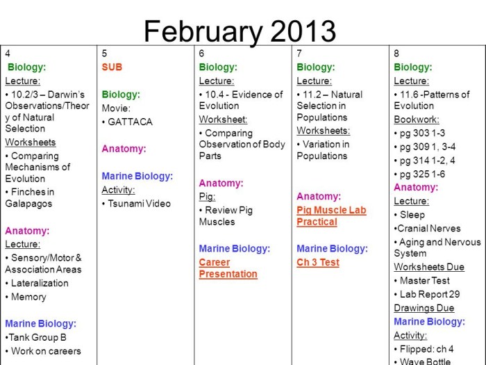 Fun with fictitious animals answer key