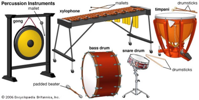 The instruments pictured here are __________.