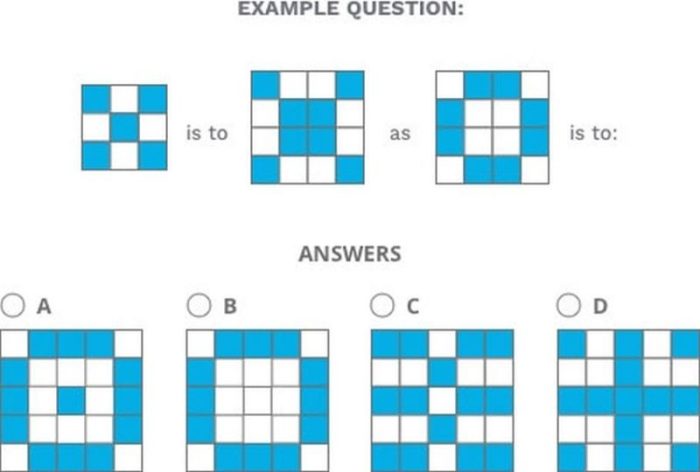 The predictive index cognitive assessment answers