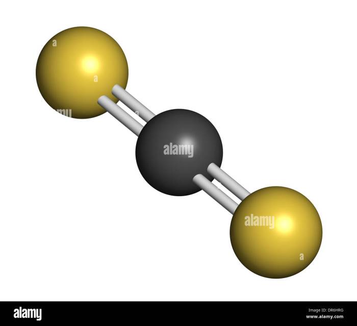 Disulfide molecule carbon