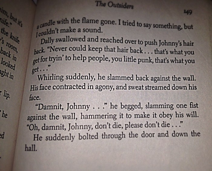 Why doesn't dally want johnny to turn himself in