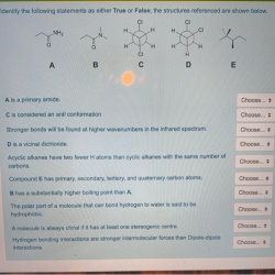 Present simple lives children some worksheet statements identify false included answer complete true version read pages two questions make