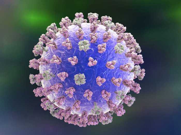 Research for a universal flu vaccine tends to focus on