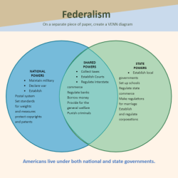 Federalist and anti federalist graphic organizer